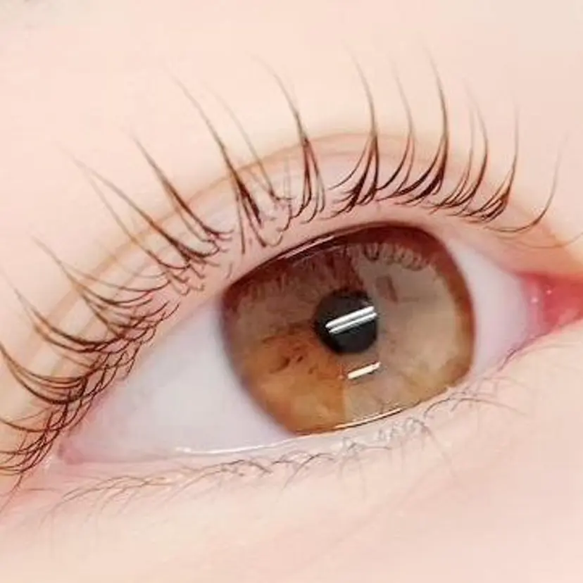 Very Lash 渋谷公園通り店の掲載