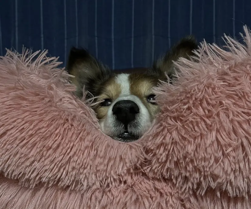 山田 麻海の掲載