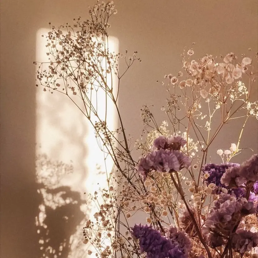 顔周り/レイヤー🎀 natsumiの掲載