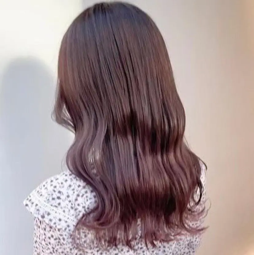 菅野 瀬音の掲載