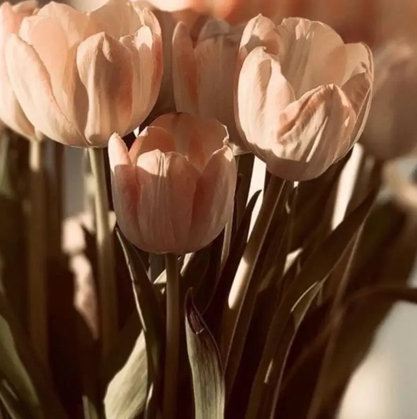 MAQUIA小松店 石川の掲載