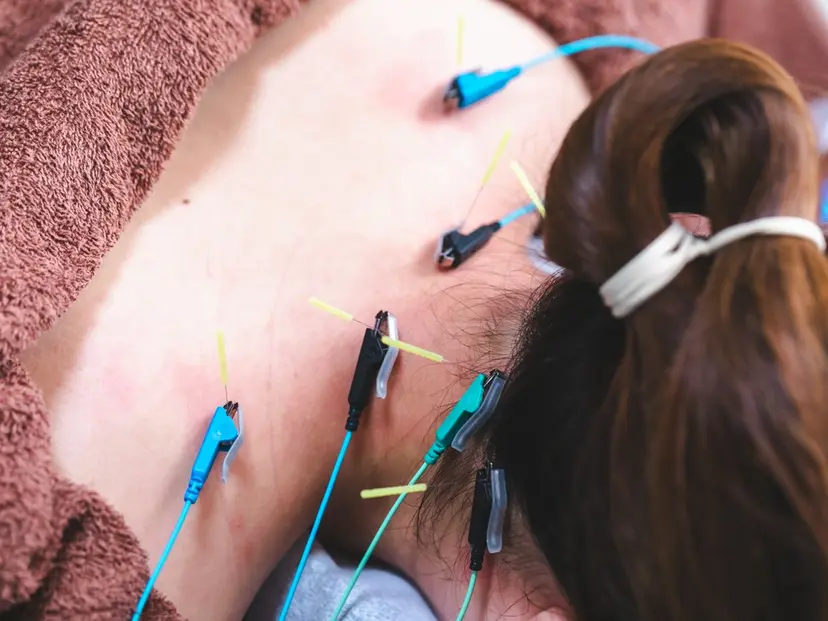 近藤 桂生の掲載