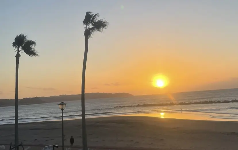 ナカタ ユウナの掲載