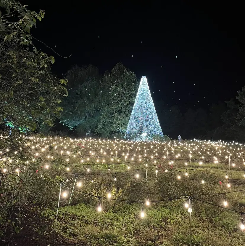 Lily CHINATSUの掲載