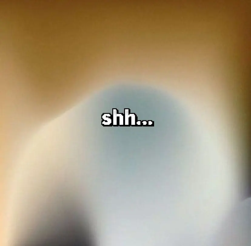 shh... kotoneの掲載