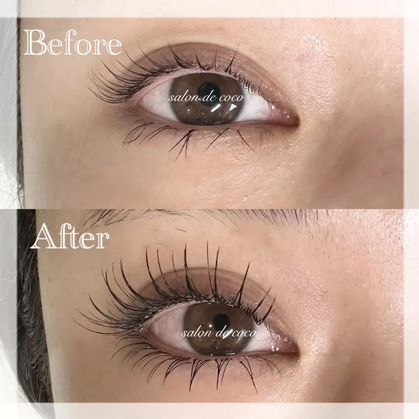 岡本 知紗の掲載