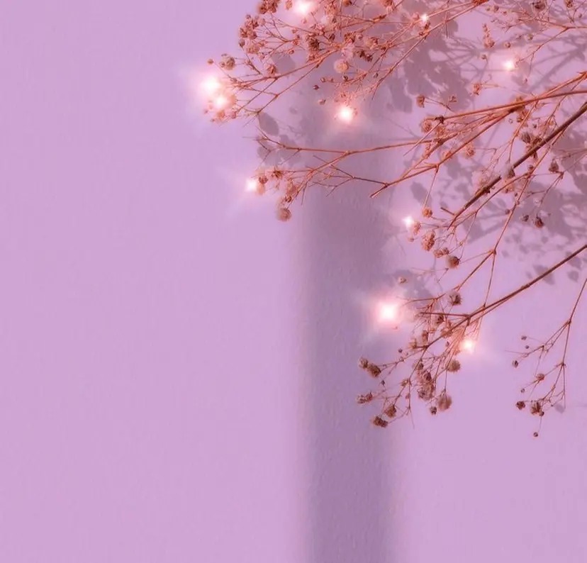 リラ 姫路の掲載