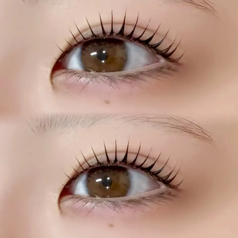 elle【エル】 YUIの掲載