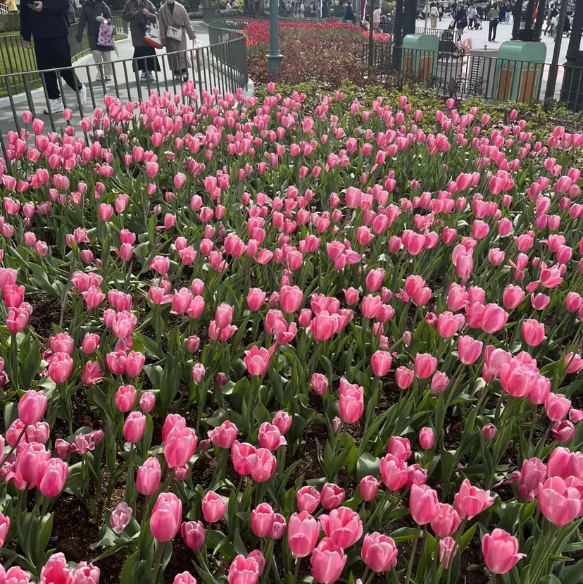 Makea 与野店 kokoro🍓の掲載