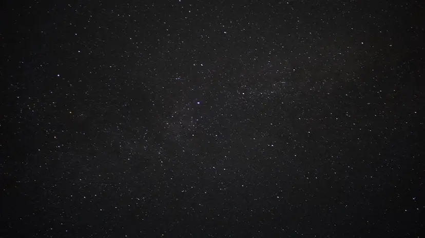 市川 優菜の掲載