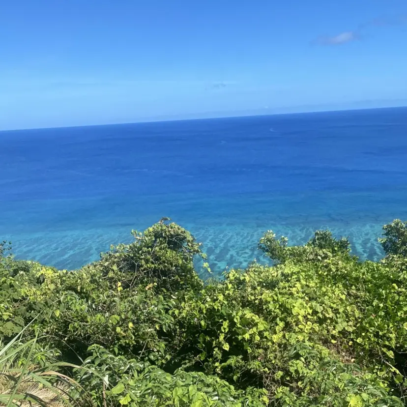 🐠DIAMOND EYES店長🏝️堤の掲載