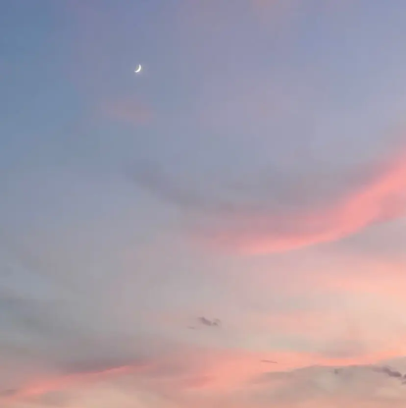 ハイトーン/ダブル カラー/あやかの掲載