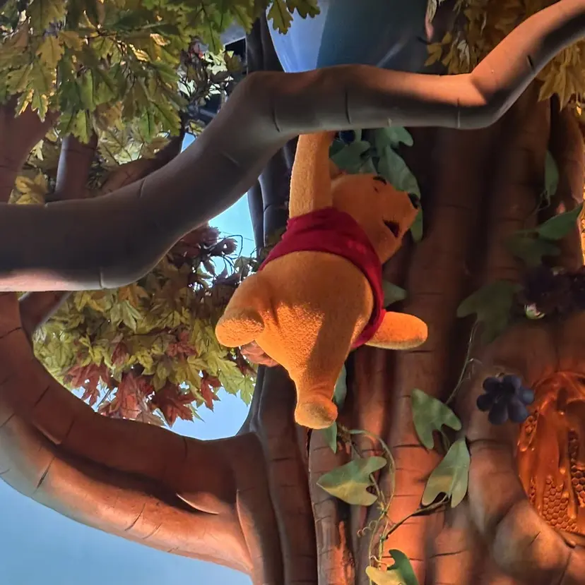 関根 莉杏の掲載