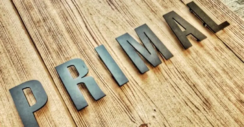 齋藤 結愛の掲載