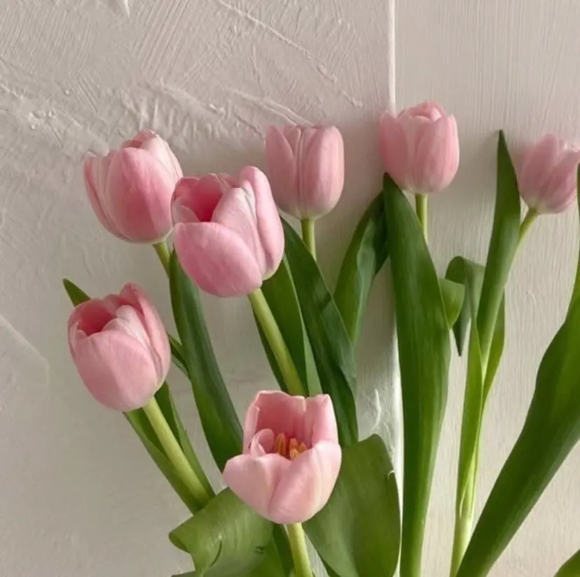 池田 彩音の掲載