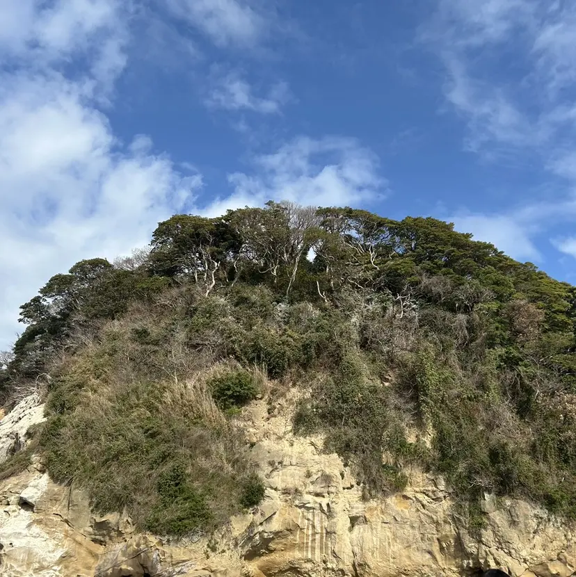 🍃似合わせカラー 🍃ネモトソラの掲載