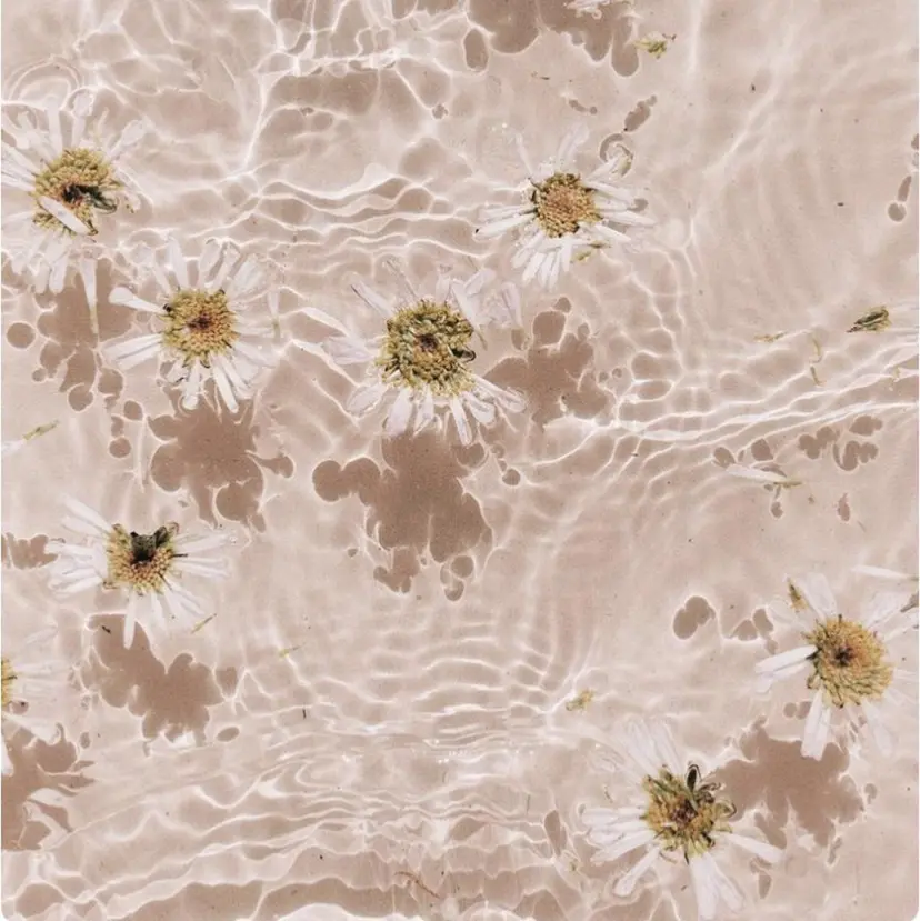 【LINON】 airiの掲載