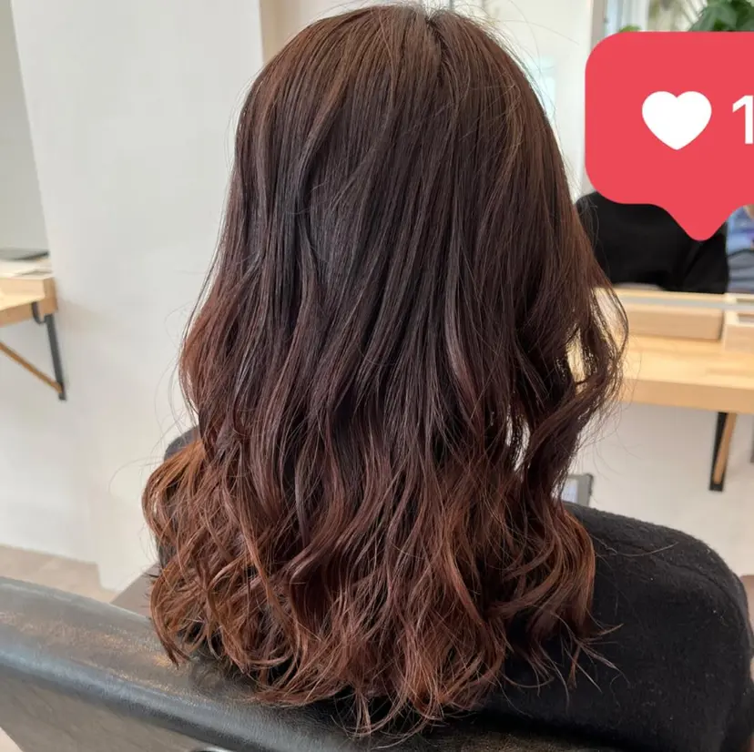 小寺 正真の掲載