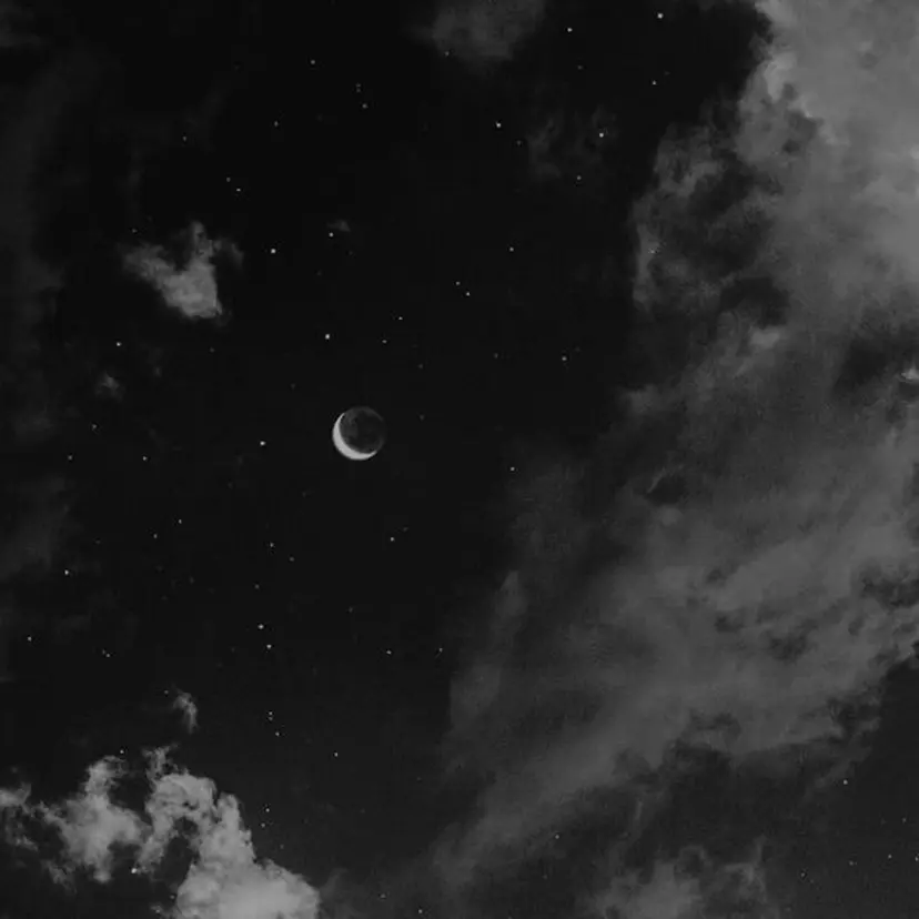 丸山 知夏の掲載