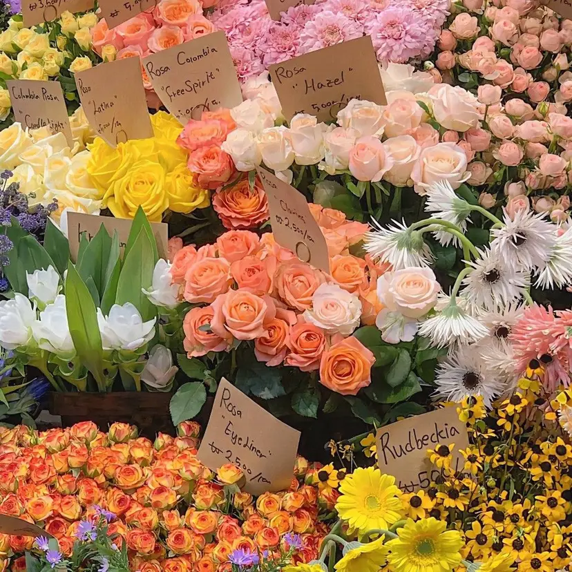 アイラ松崎店 ニシワキの掲載