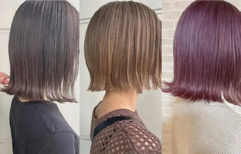 近藤 菜々美の掲載