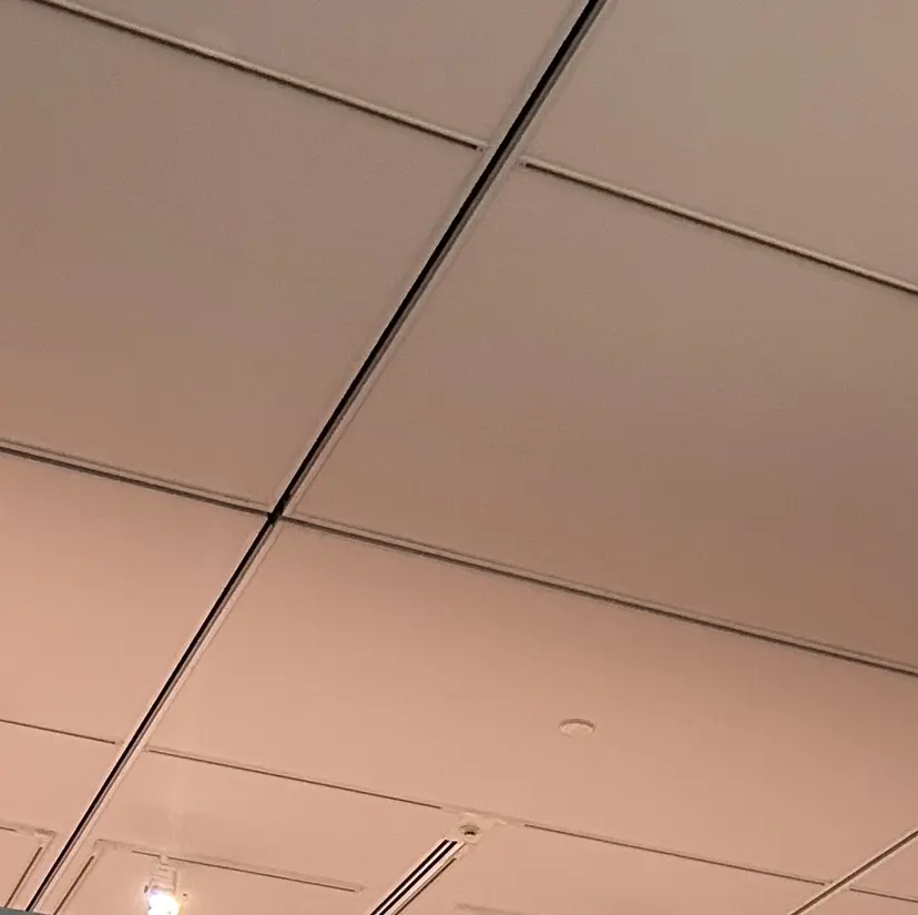 髙林 優衣の掲載