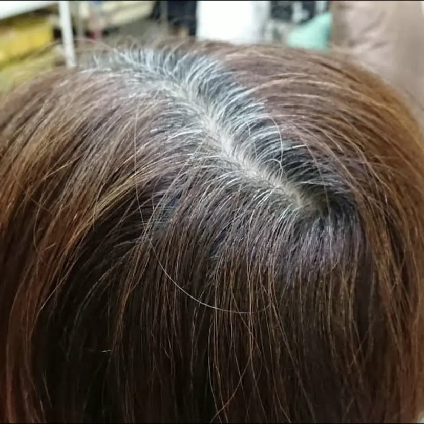 桑田 凌来の掲載