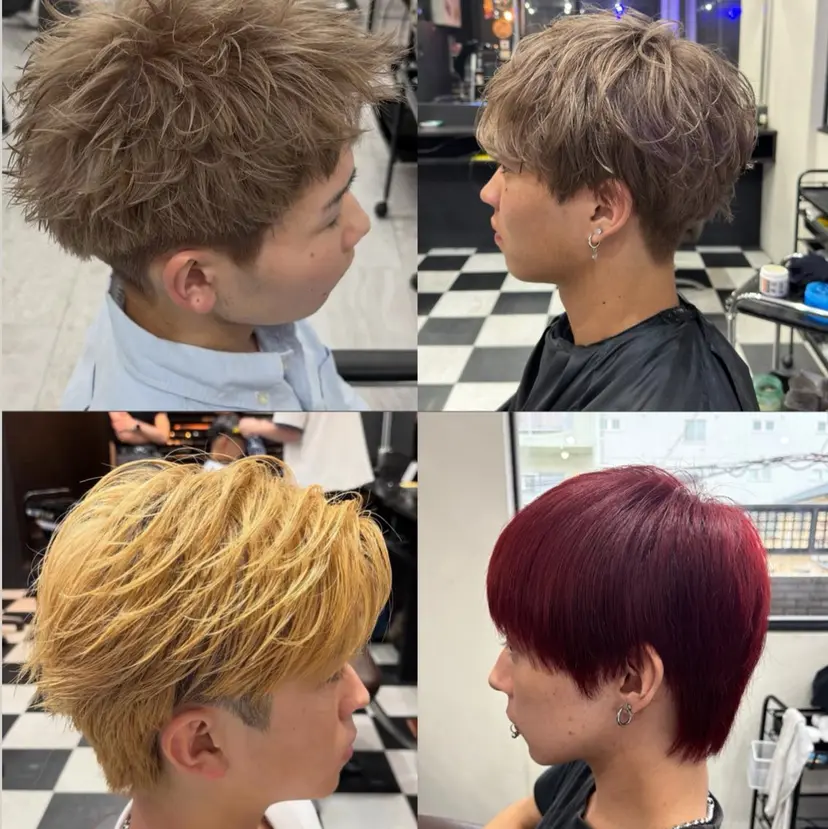 田中 真桜の掲載