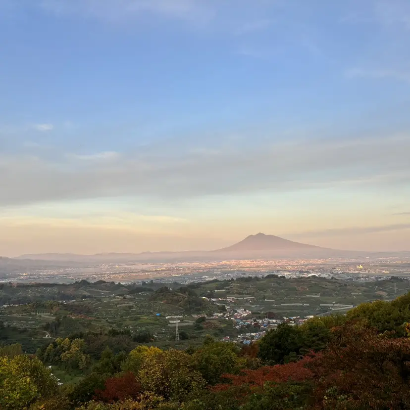 alicetokyo ..SAKURAの掲載