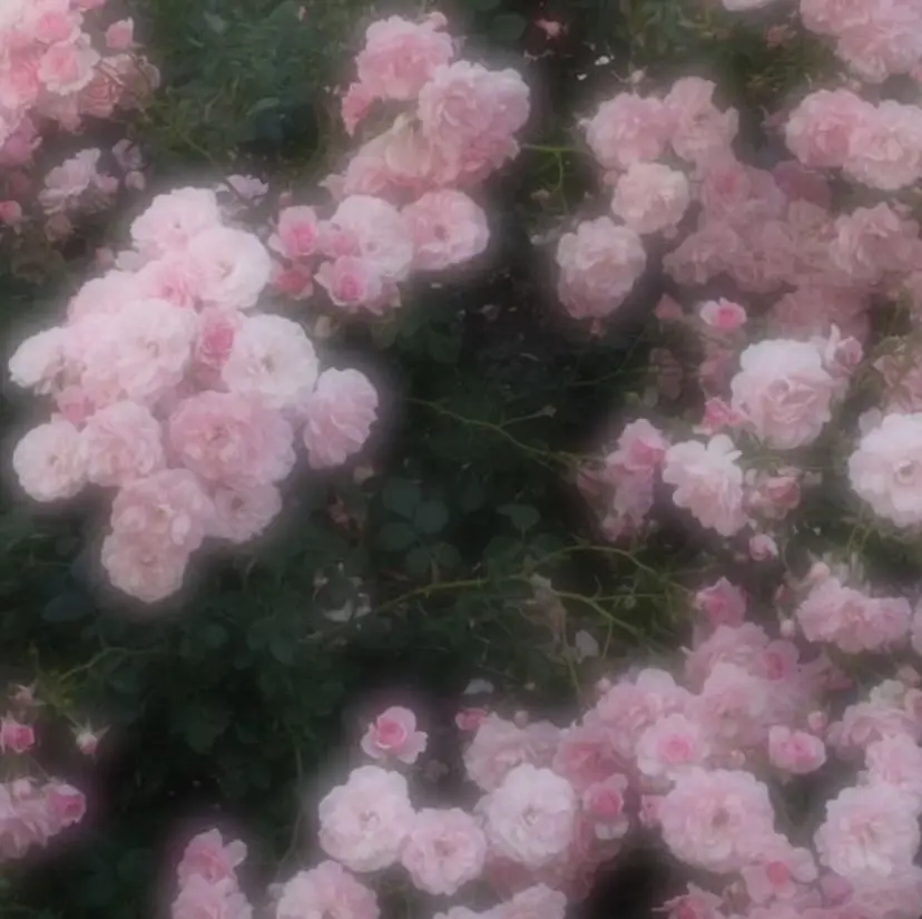 透明感カラー🌷 池袋/hanaの掲載