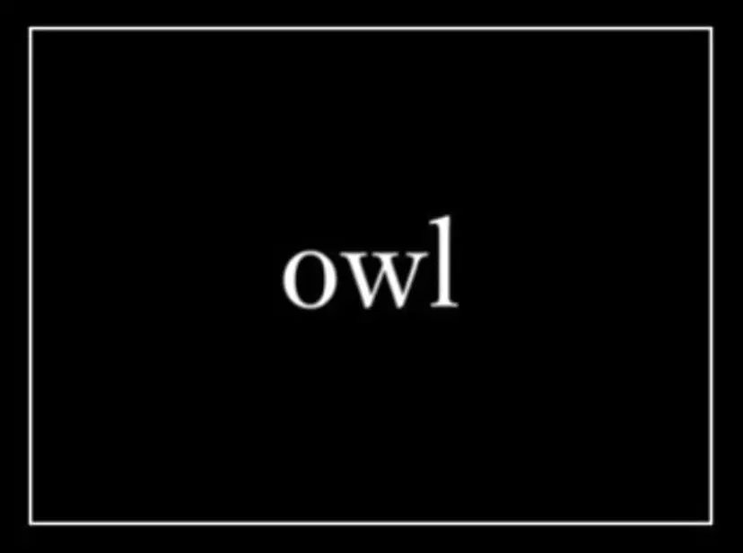 スパイキーショート 心斎橋【戸兵吏駒】の掲載