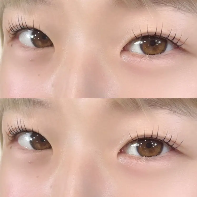 マリーテレジア 🪽OKUMURAの掲載