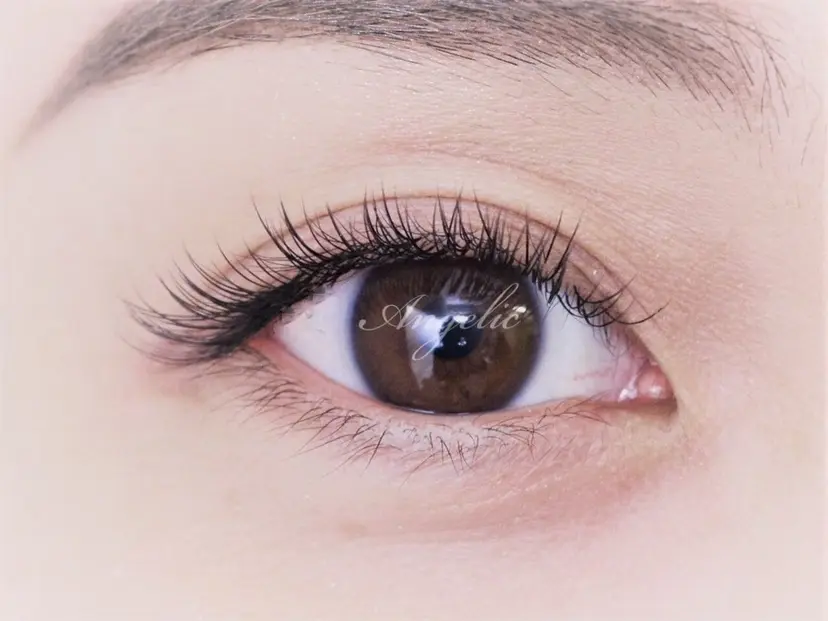 🦋 Megumi-錦糸町の掲載