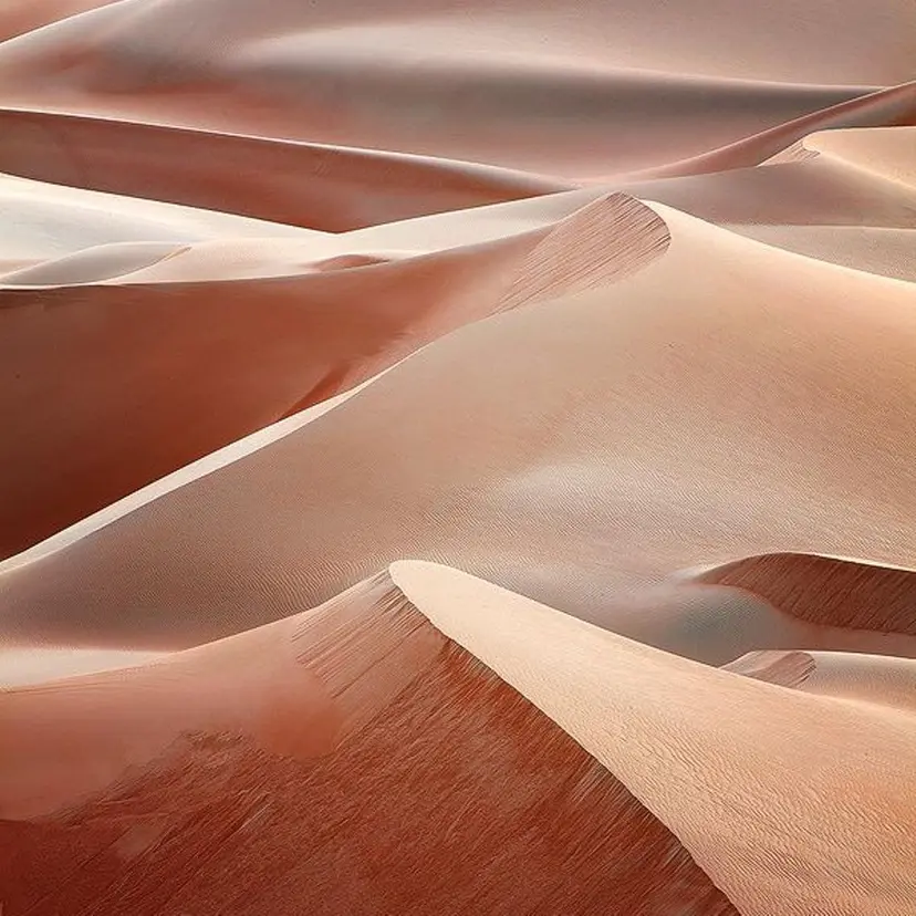 pep natsumiの掲載