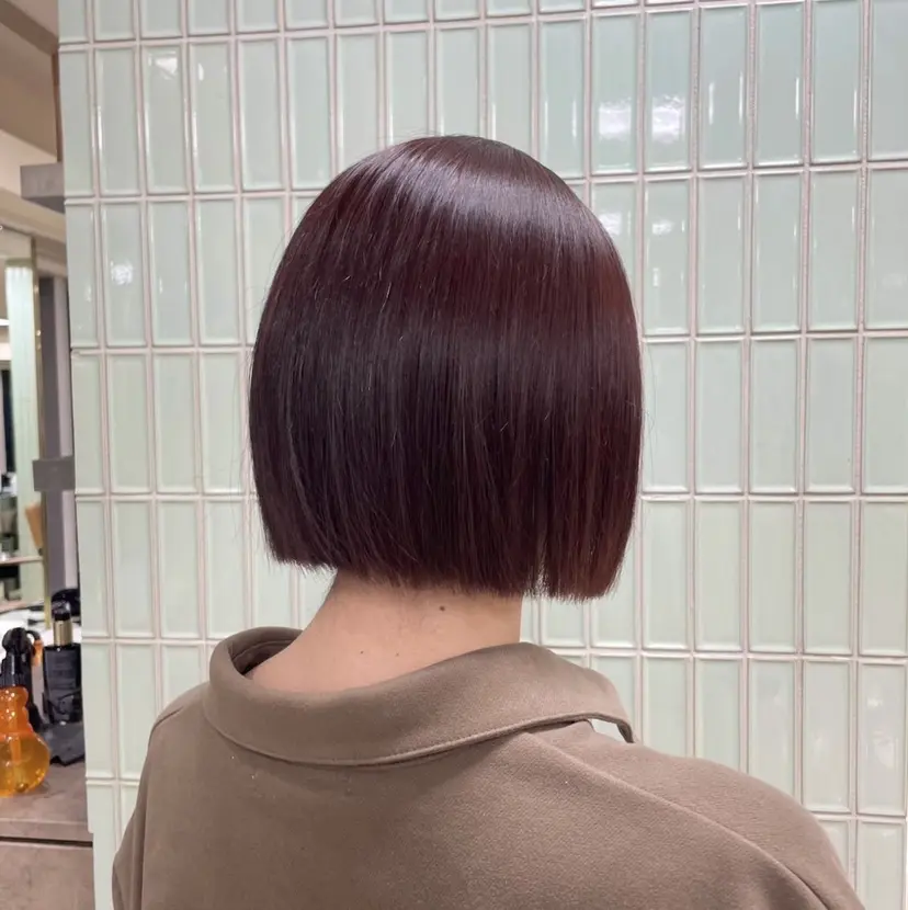 佐藤 千夏の掲載