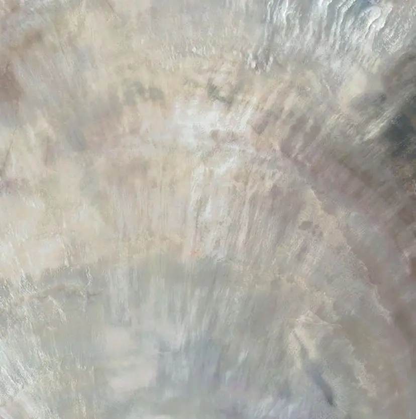 黒田瀬奈/ボブ まろやかベージュの掲載