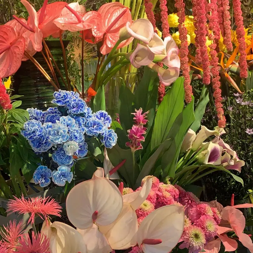 石川 双葉の掲載