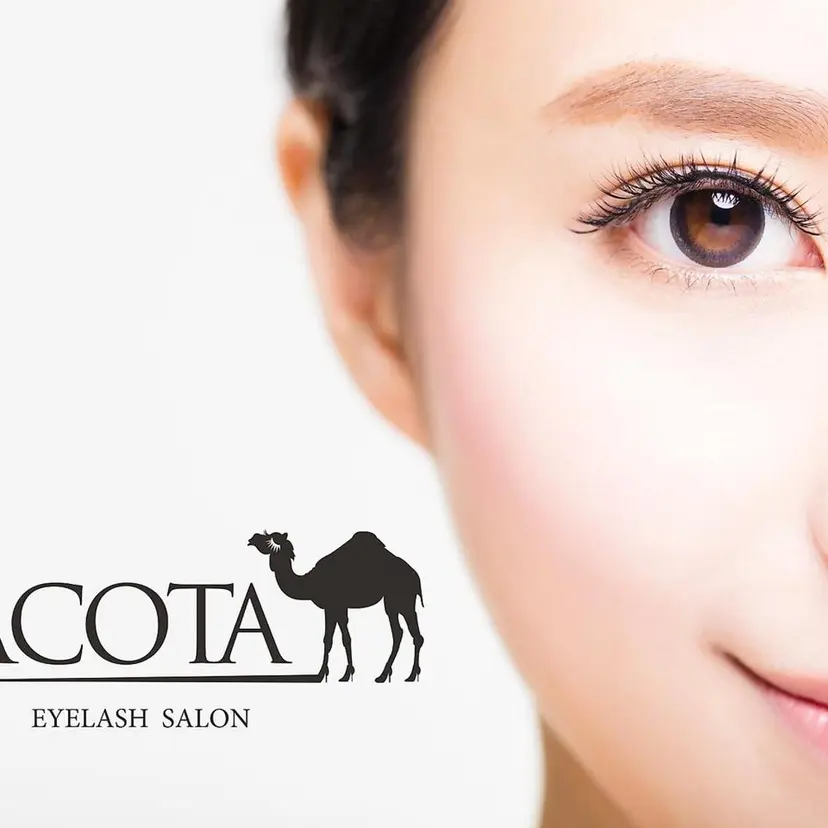 アイラッシュサロン ラコタ銀座店の掲載