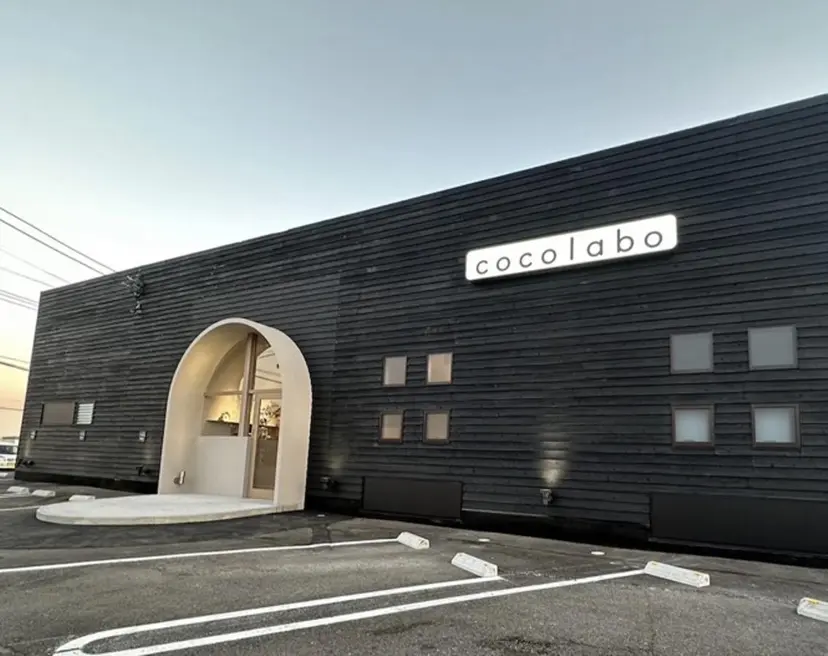 松本 夢叶の掲載