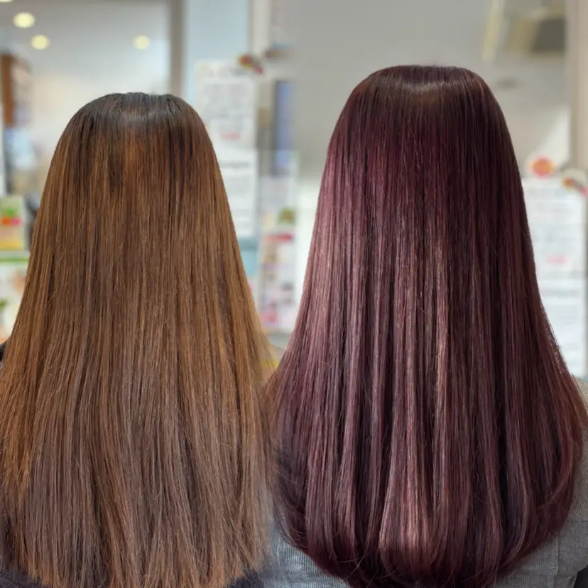 北村 珠来の掲載