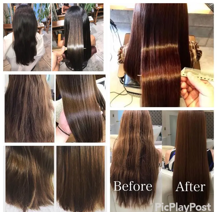 矢島 真樹の掲載