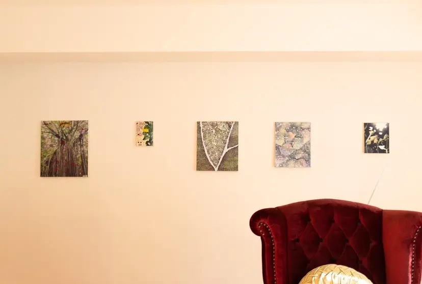 figtree hikariの掲載