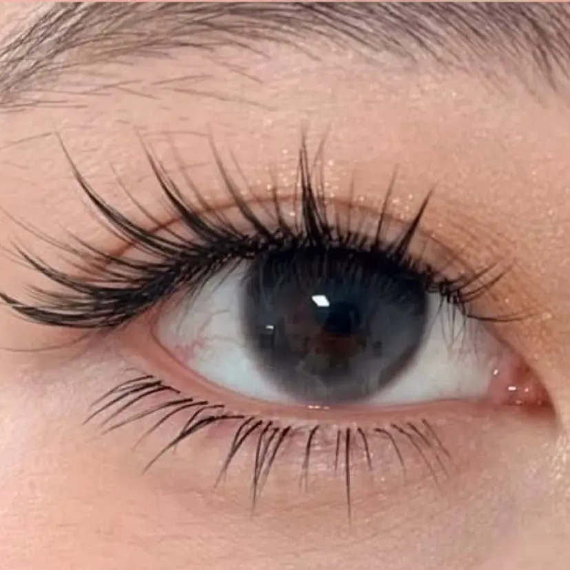 グエンニャット ニュの掲載