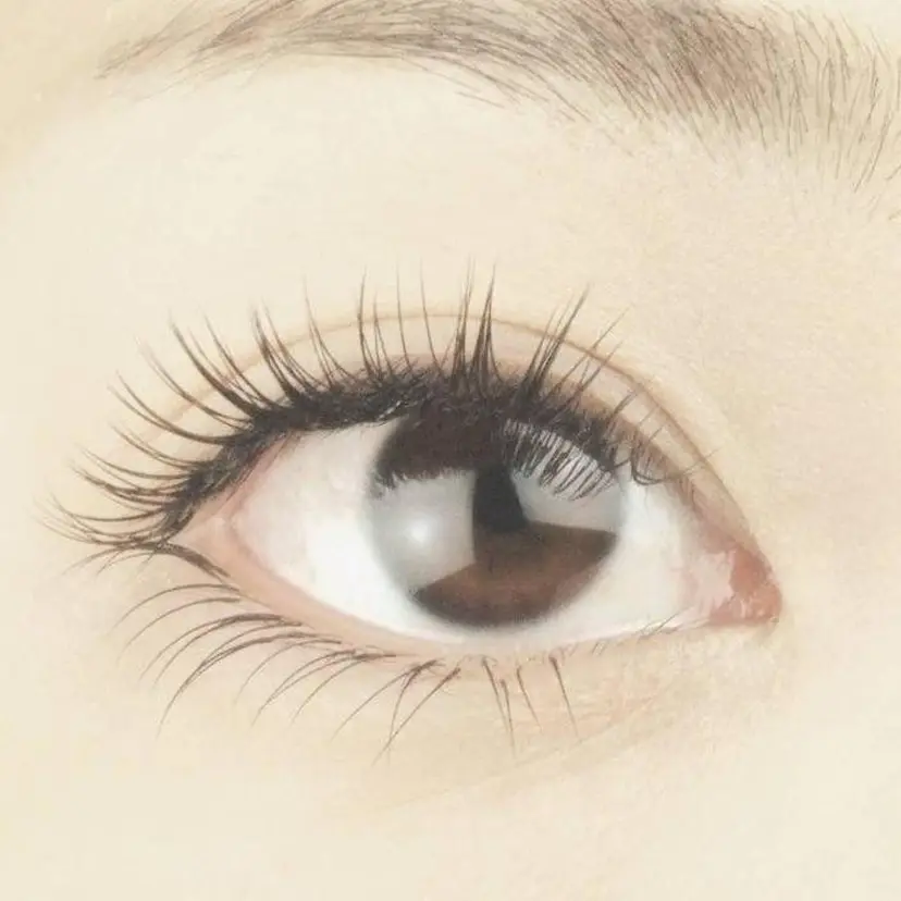 Kalon カロンの掲載