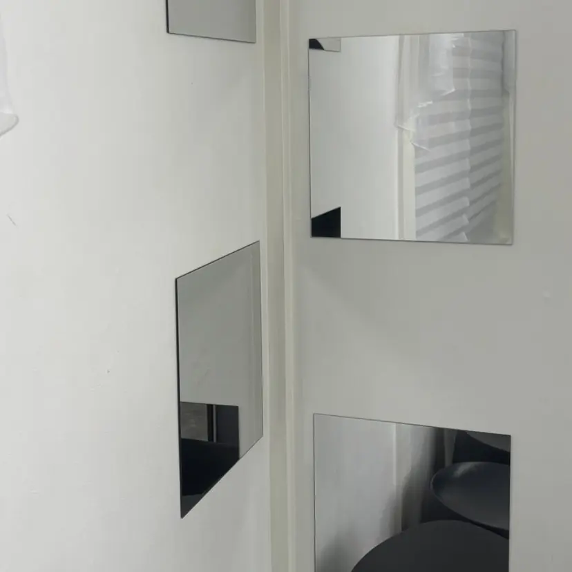 ipssae nailの掲載