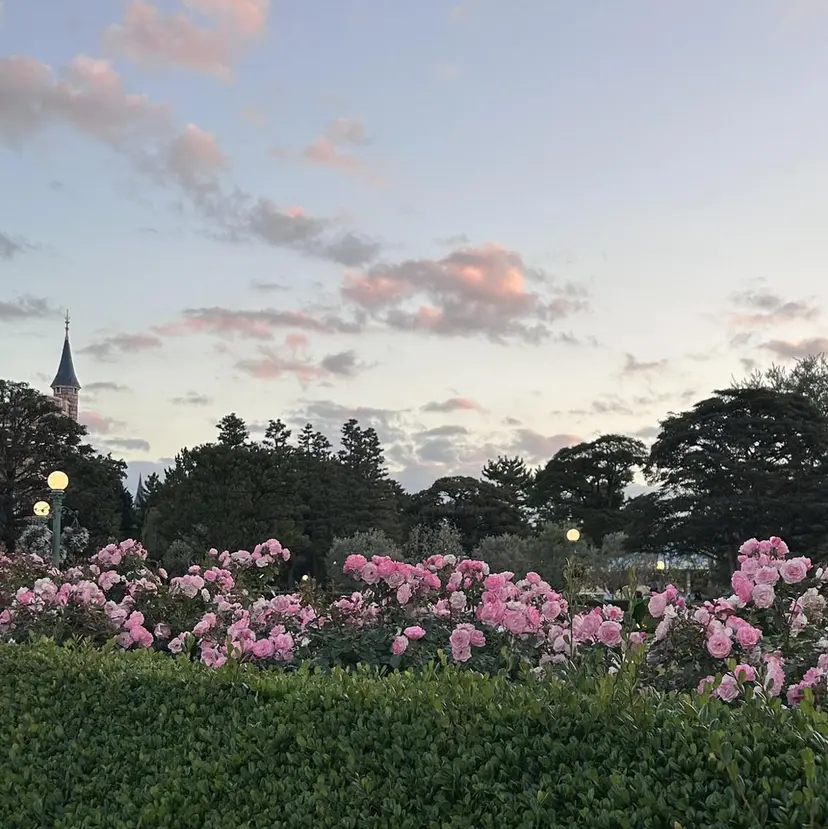 🩵mahiro/ ショートカット🩵の掲載