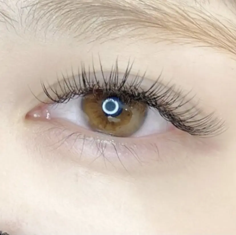 小西 媛香の掲載