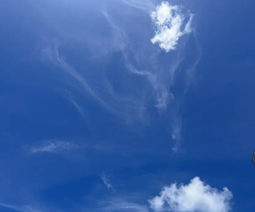 🌼sunc HINAMI🌼の掲載