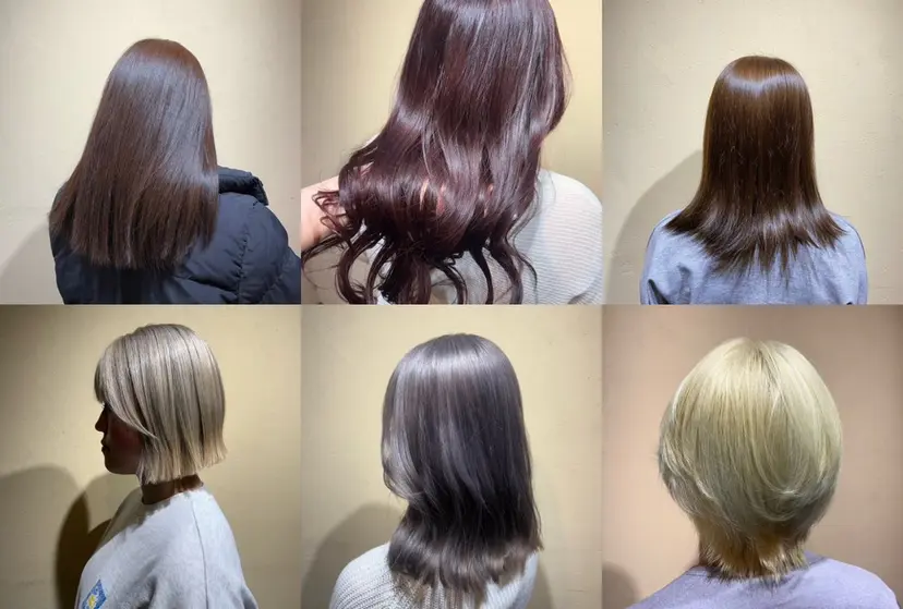 saya （サヤ）の掲載