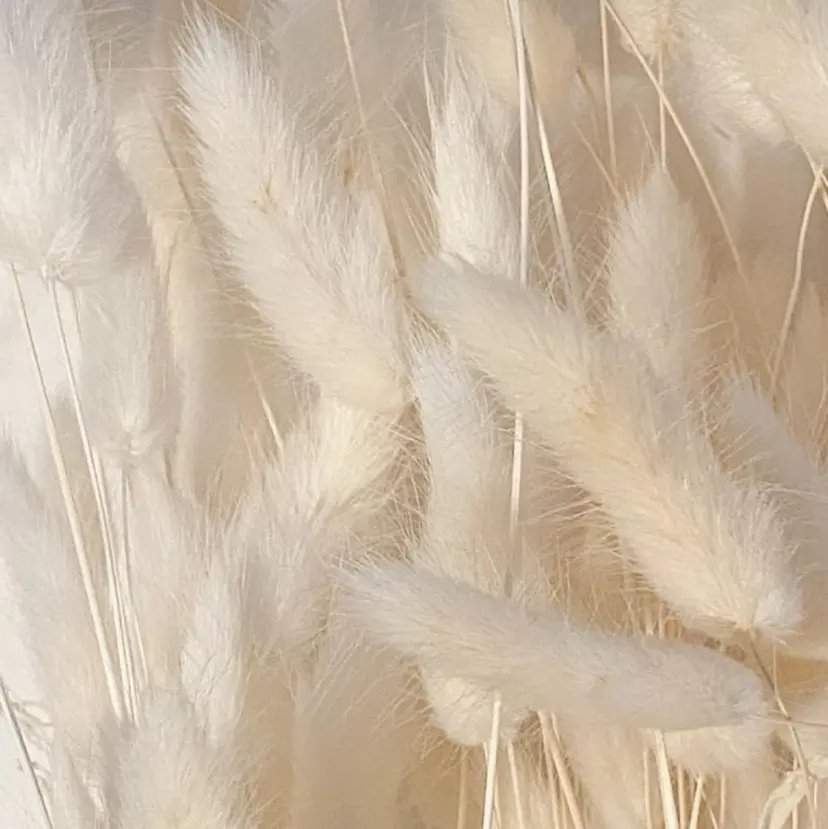 private EMILIAの掲載